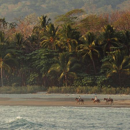 Hotel Santa Teresa By The Beach Playa Santa Teresa  ภายนอก รูปภาพ