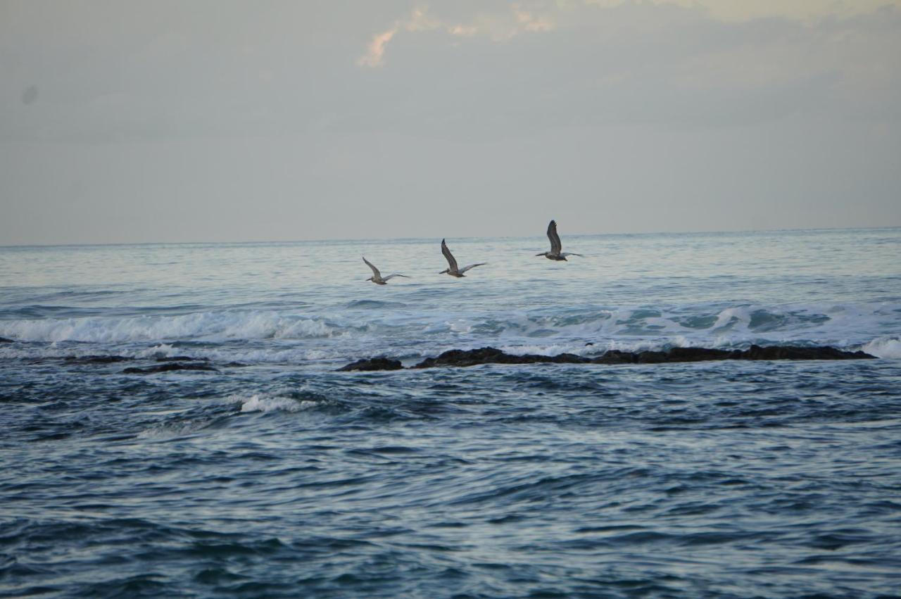 Hotel Santa Teresa By The Beach Playa Santa Teresa  ภายนอก รูปภาพ